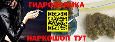 крисы Ирбит