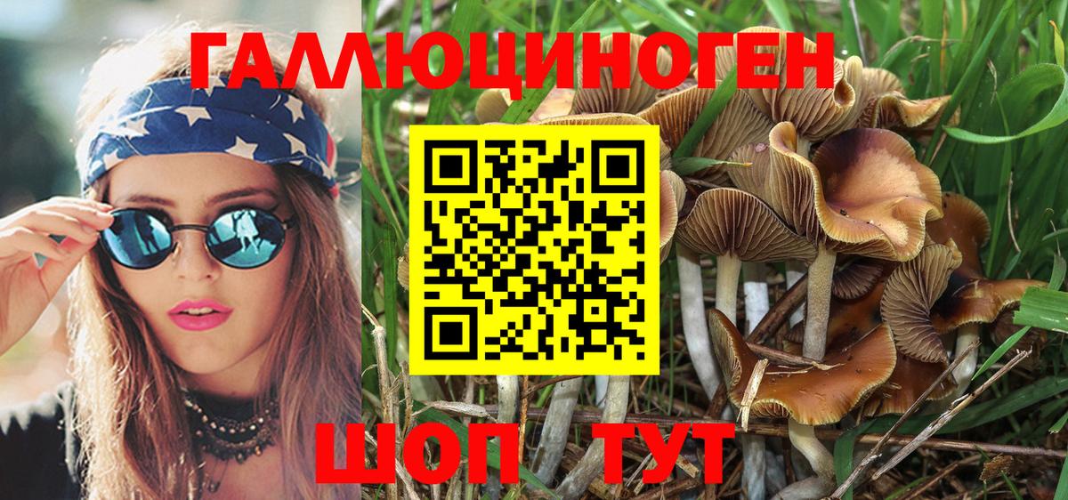 Псилоцибиновые грибы Psilocybine cubensis  Псилоцибиновые грибы Psilocybine cubensis  Тихорецк  цены   Вход с VPN 